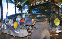 Real Jeeps Safari